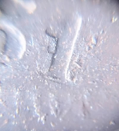 1851-Large-Cent-Newcomb?